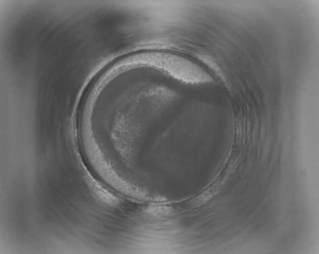 X0000073401466200608111246