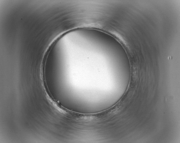 X0000073401468200608111246