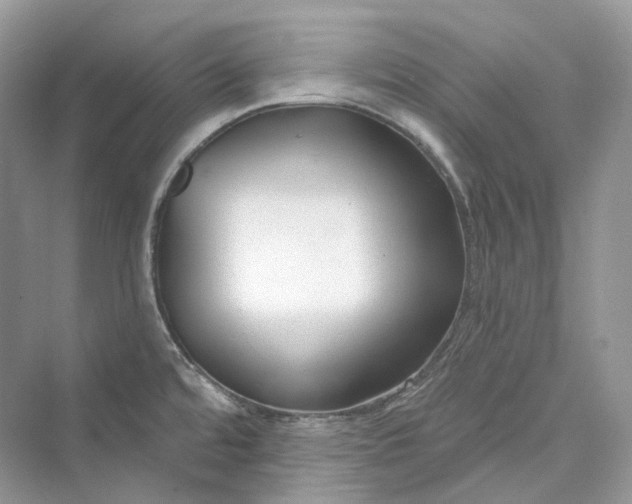 X0000073401480200608111246