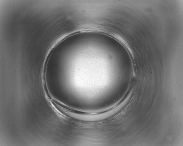X0000073401485200608111246