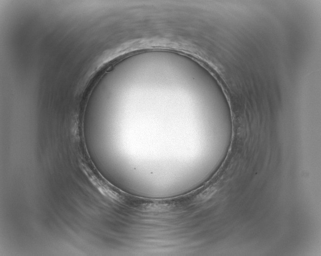 X0000073401499200608111245