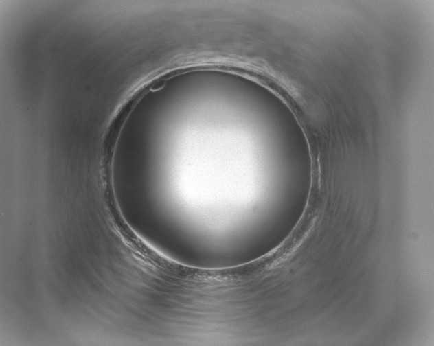 X0000073401501200608111245
