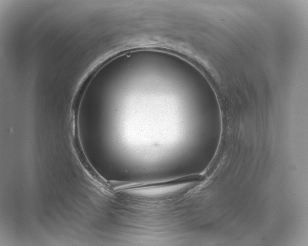 X0000073401509200608111245