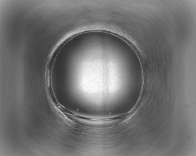 X0000073401510200608111245
