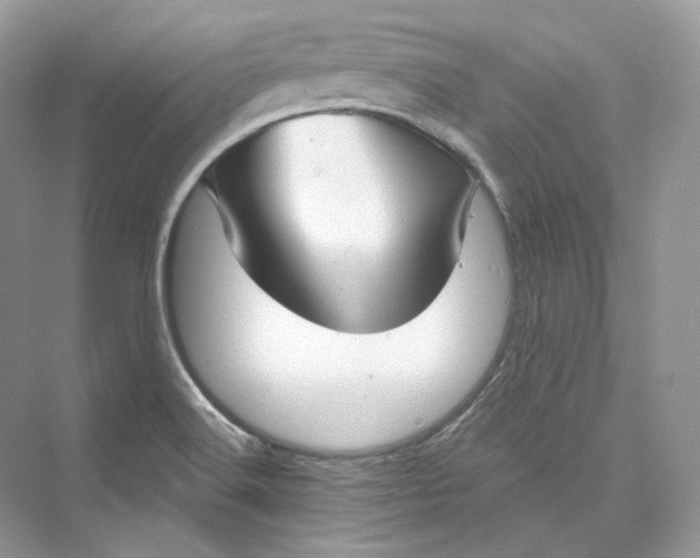 X0000073401516200608111245