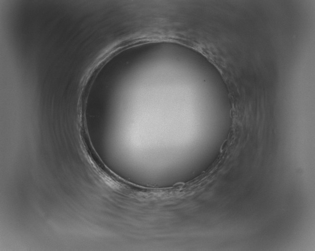 X0000073400005200608181041