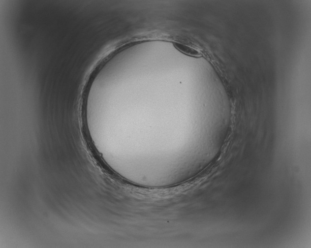 X0000073400006200608181041