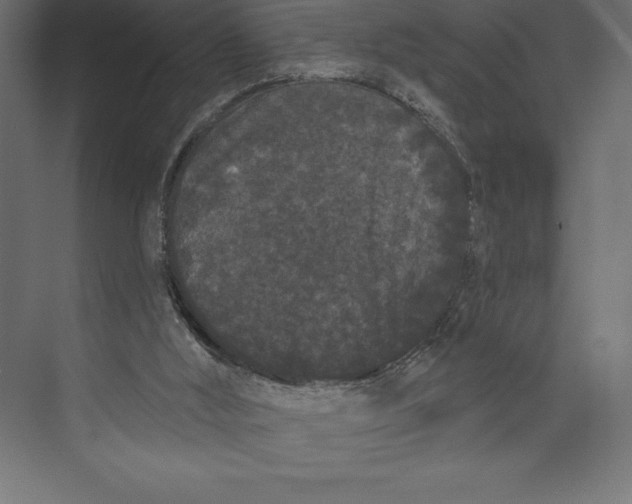 X0000073400012200608181041