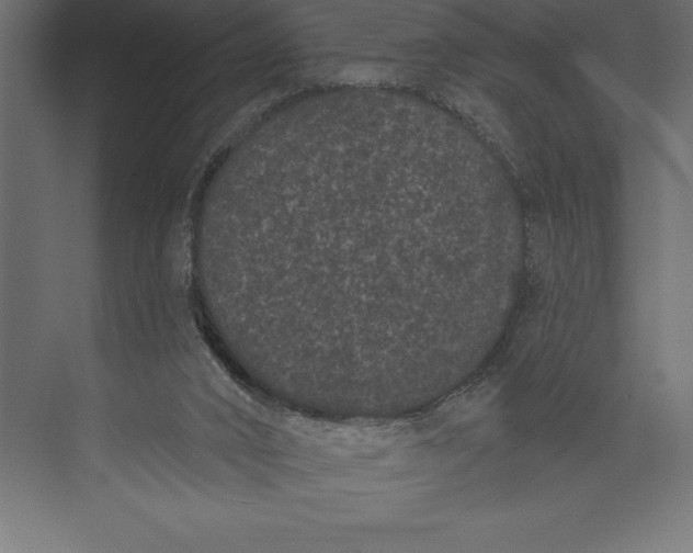X0000073400016200608181041