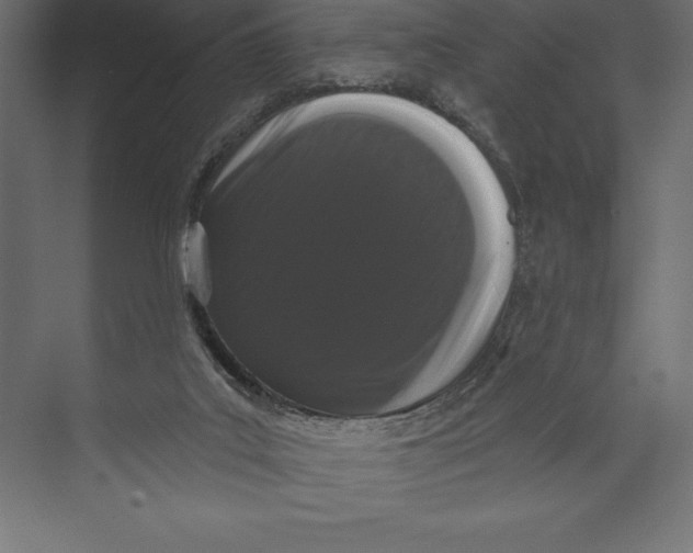 X0000073400019200608181041