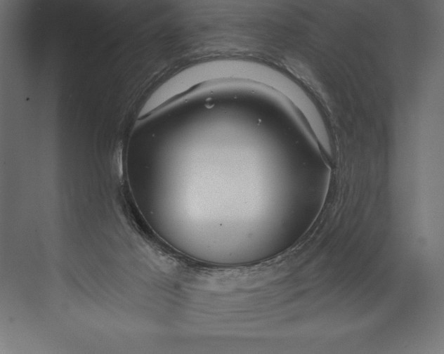 X0000073400021200608181041