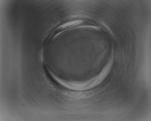X0000073400023200608181041