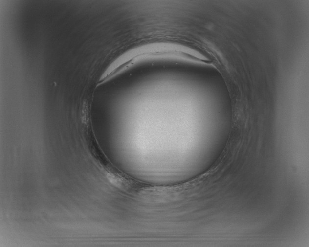 X0000073400025200608181041