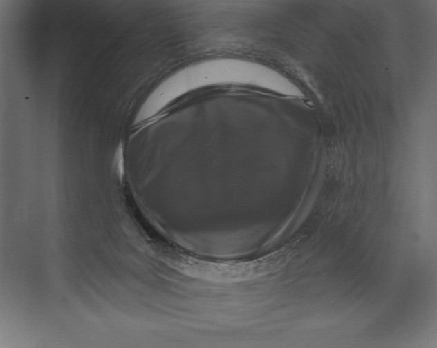 X0000073400027200608181041