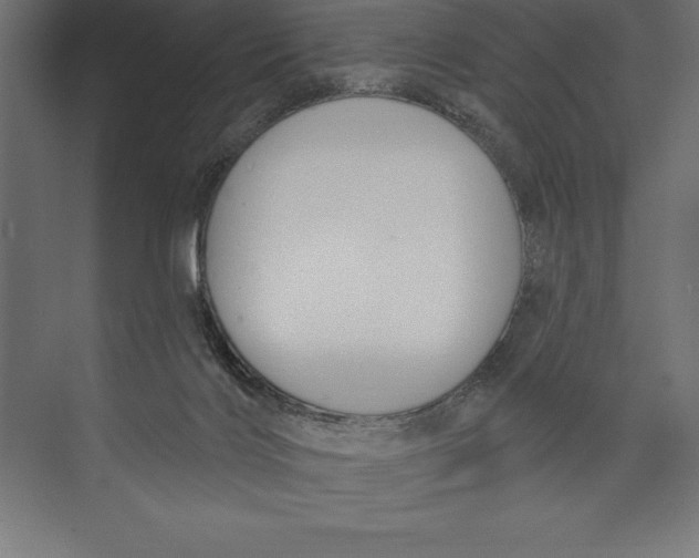 X0000073400028200608181041