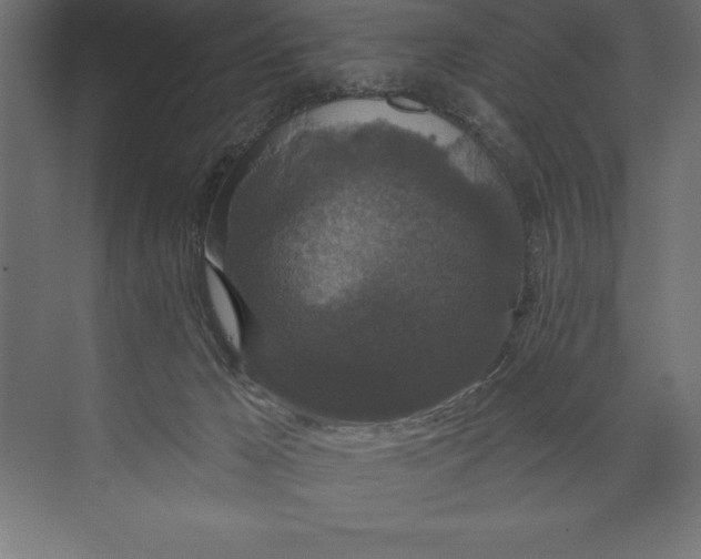 X0000073400029200608181041