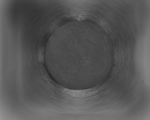 X0000073400030200608181041