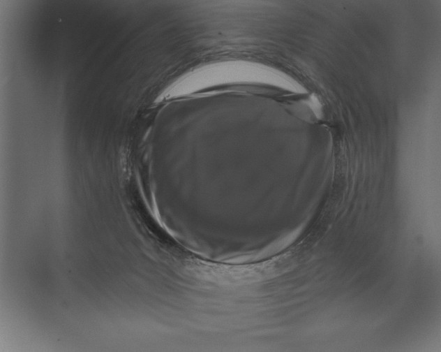 X0000073400031200608181041