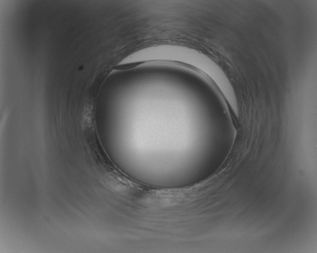 X0000073400033200608181041