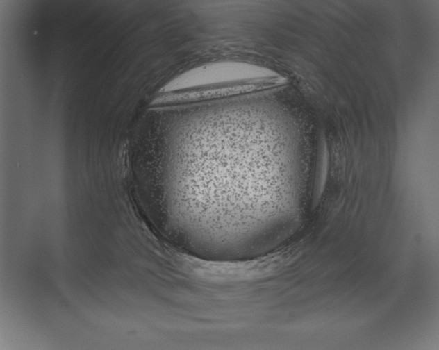 X0000073400034200608181041