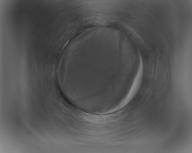 X0000073400035200608181041