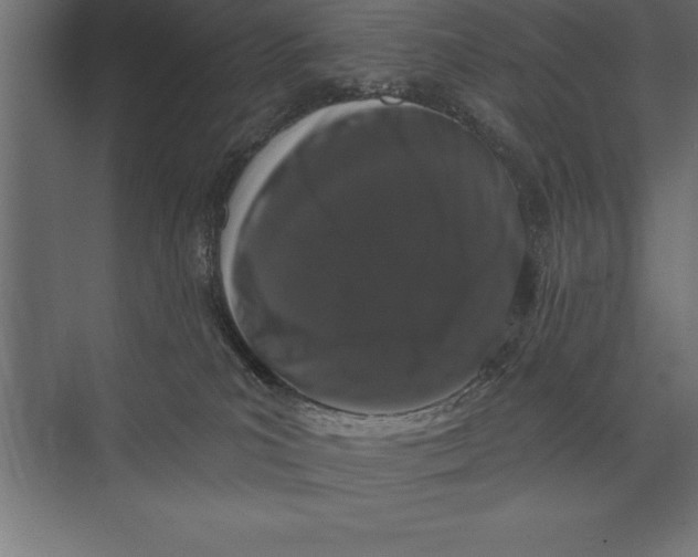 X0000073400039200608181041