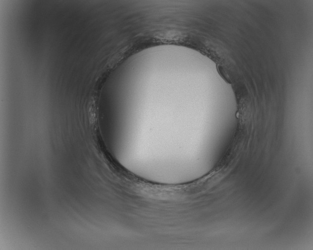 X0000073400040200608181041