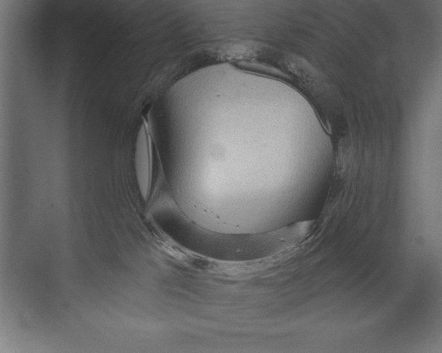 X0000073400041200608181041