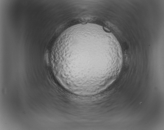 X0000073400042200608181041