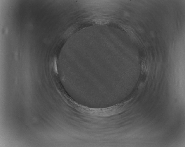 X0000073400046200608181040