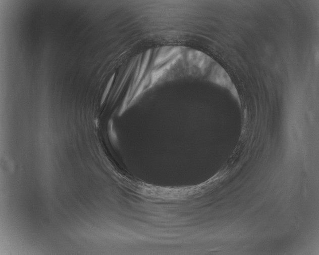 X0000073400048200608181040