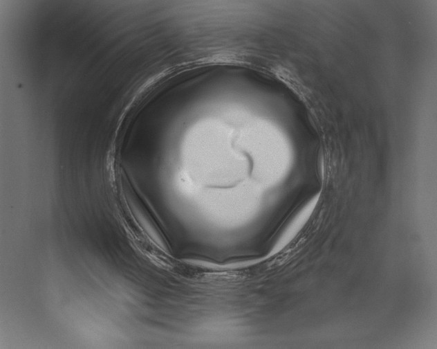 X0000073400050200608181040