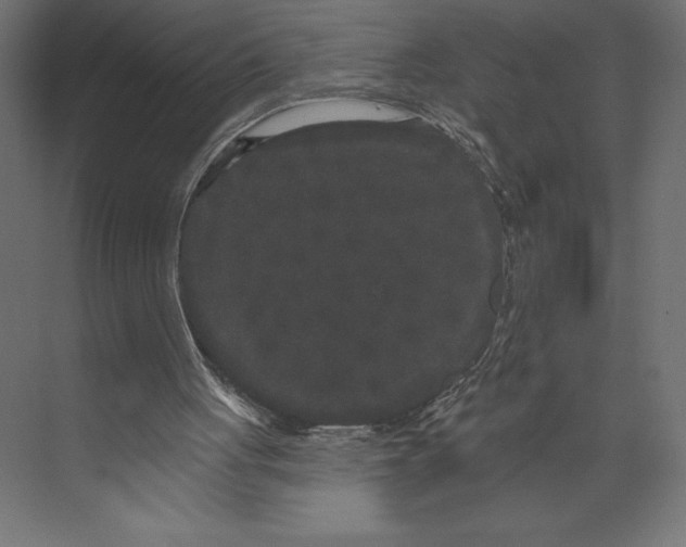 X0000073400051200608181040