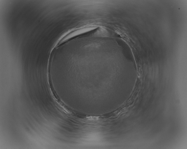 X0000073400052200608181040