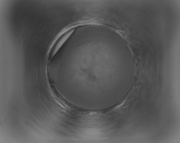 X0000073400056200608181040