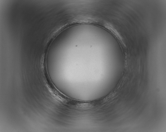 X0000073400058200608181040