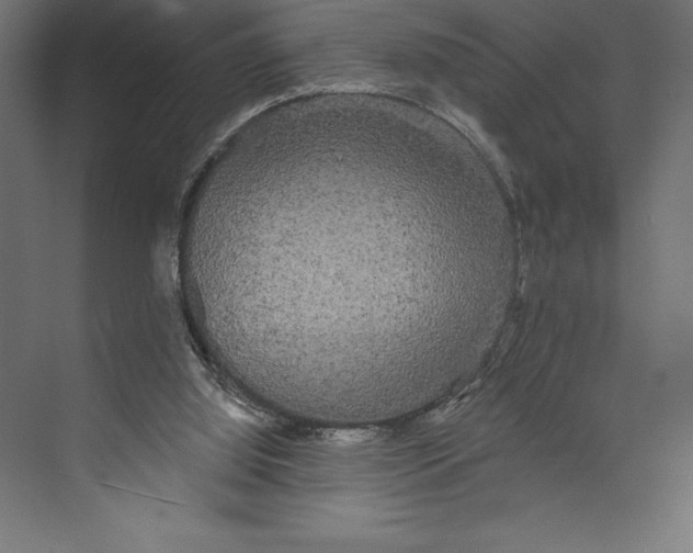 X0000073400060200608181040