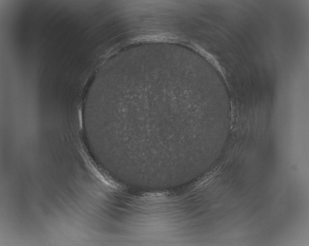 X0000073400061200608181040