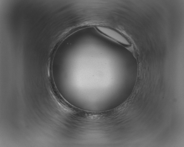 X0000073400062200608181040