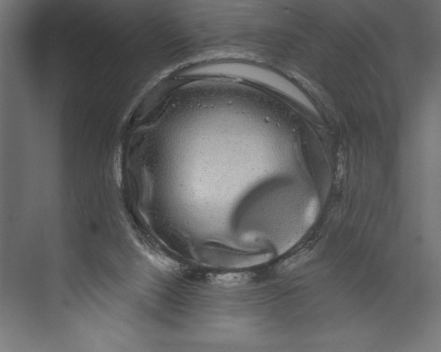 X0000073400064200608181040