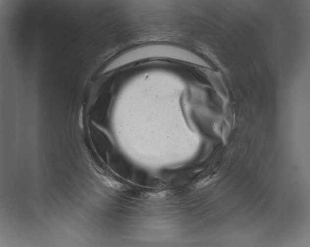 X0000073400068200608181040