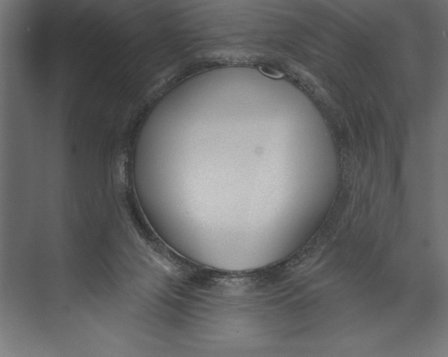 X0000073400071200608181040