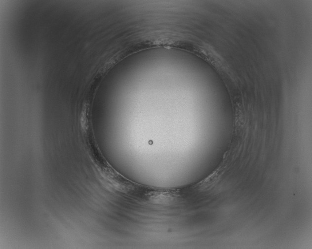 X0000073400074200608181040