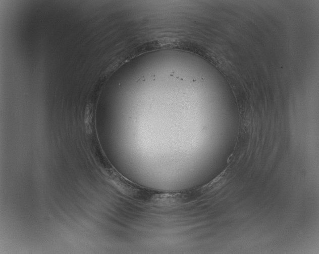 X0000073400082200608181040