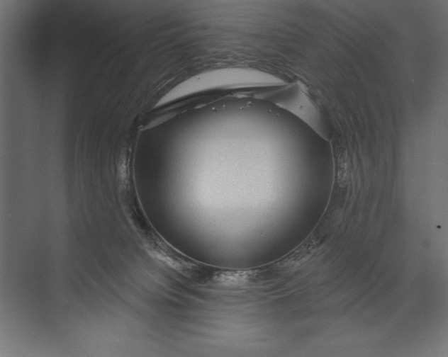 X0000073400084200608181040