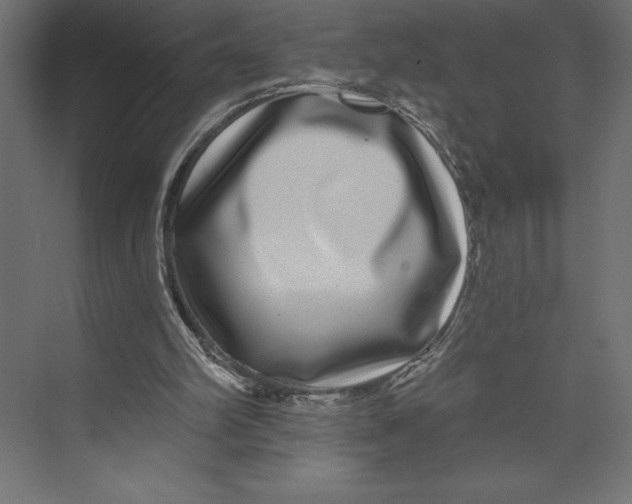 X0000073400102200608181040
