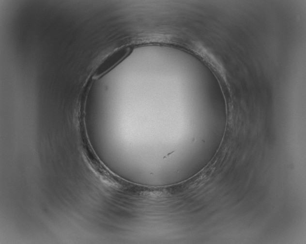 X0000073400107200608181039