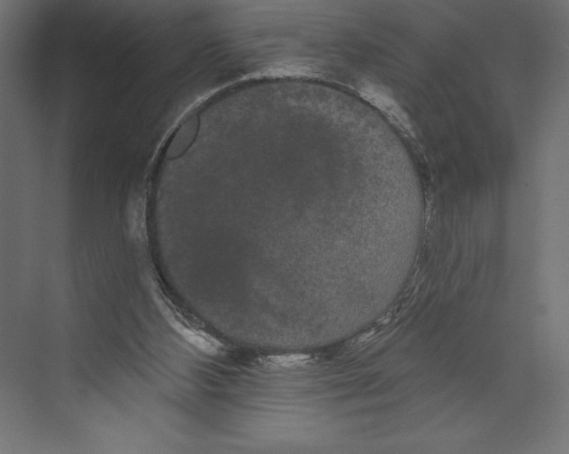 X0000073400108200608181039