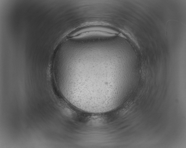 X0000073400111200608181039