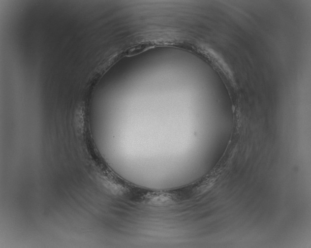 X0000073400113200608181039